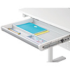 Стол Ergosmart E602 GREY, 800х600х(540-760) мм - 4