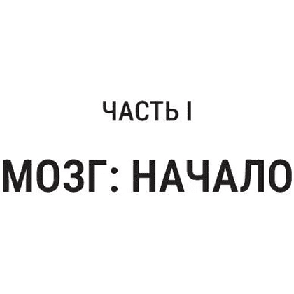 Книга "Мозг и его “Я”. Кто мы? Откуда мы? Куда мы идем?", Татьяна Черниговская, Константин Анохин - 6