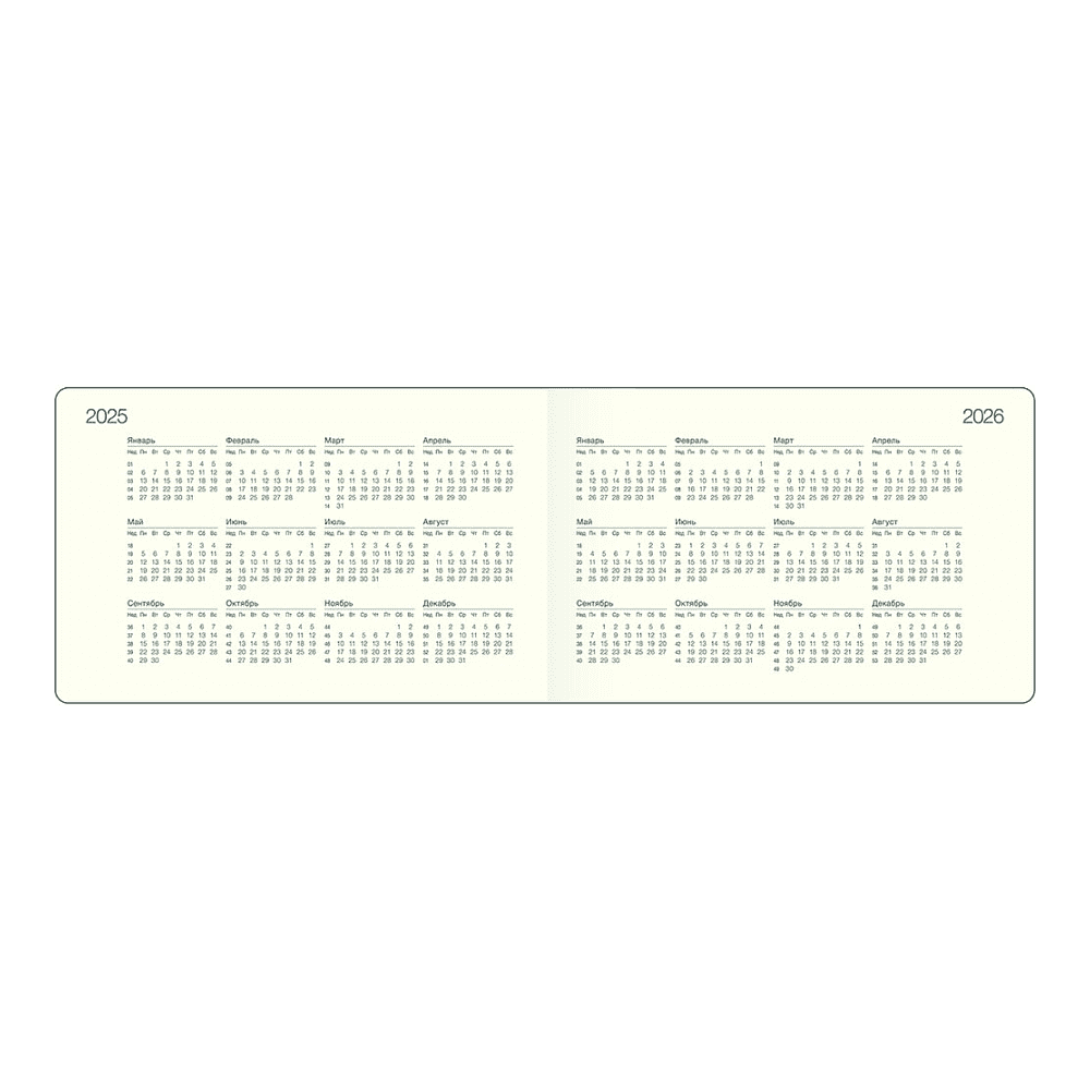 Еженедельник датированный "Pastel" на 2025 год, А6, на резинке, зеленый  - 3