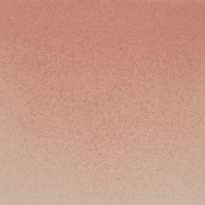 Краски акварельные "Белые ночи", 433 мокко, 10мл., туба - 3