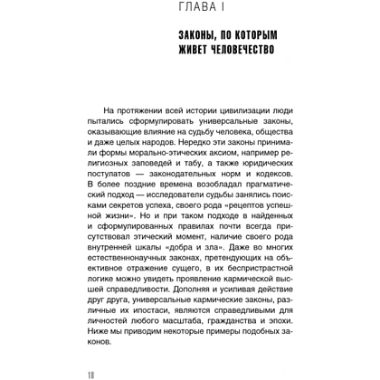 Книга  "KARMALOGIC. Краткая версия", Алексей Ситников - 2