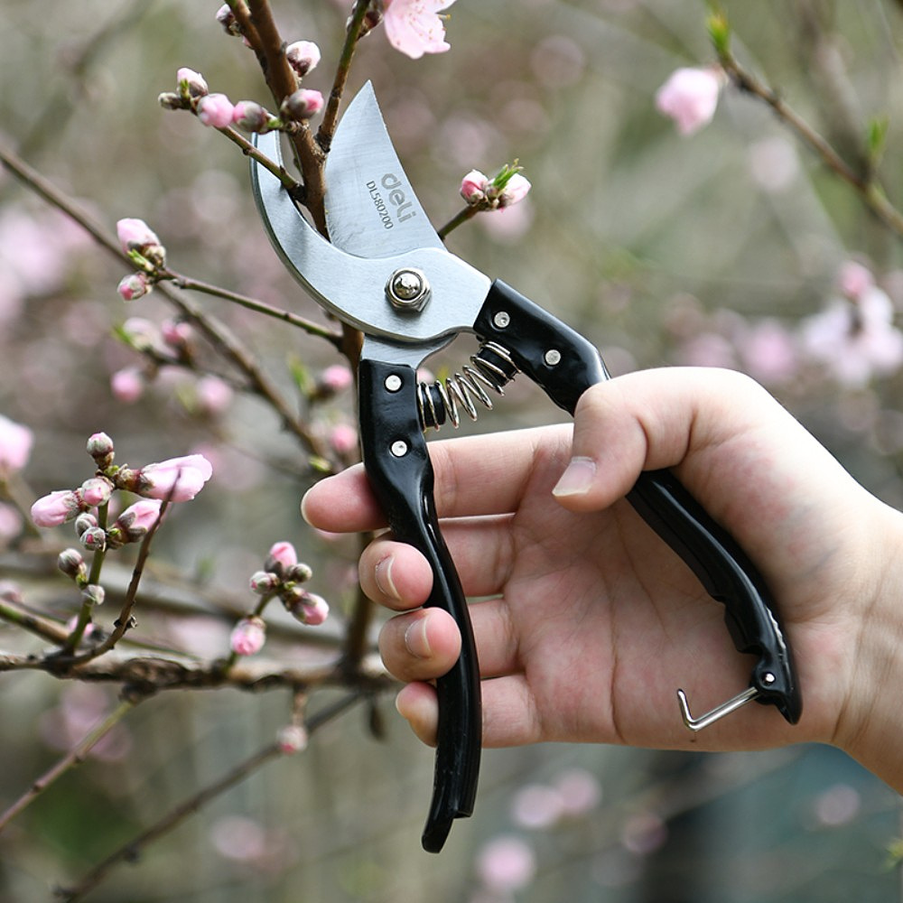 Секатор садовый "Deli" EDL580200, 205 мм, черный, серебристый - 6