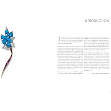 Книга на английском языке "Understanding Jewellery. The 20th Century", David Bennett, Daniela Mascetti