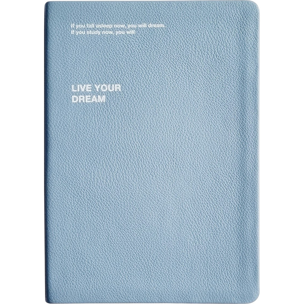 Ежедневник недатированный InFolio "Dream", А5, 192 страницы, голубой