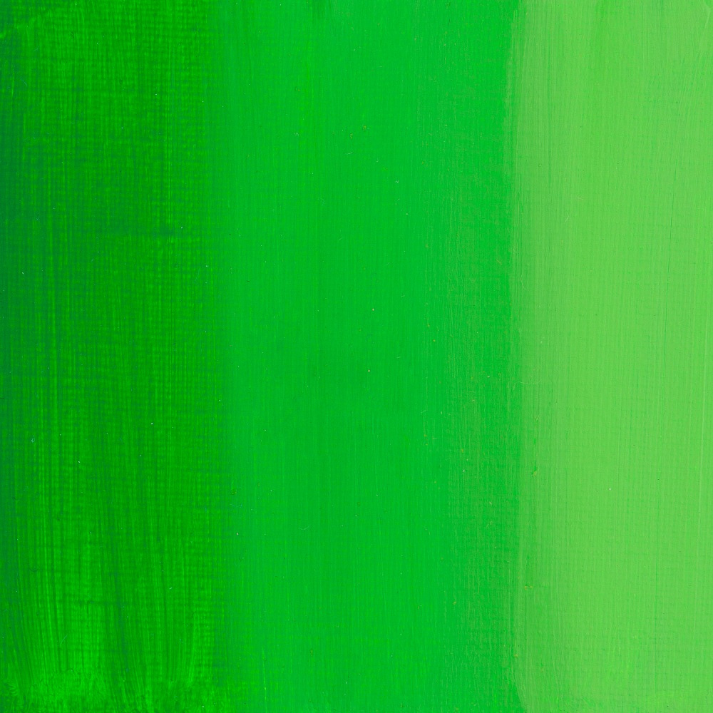 Краски акриловые "Сонет", 717 зеленая светлая, 75 мл, туба - 3