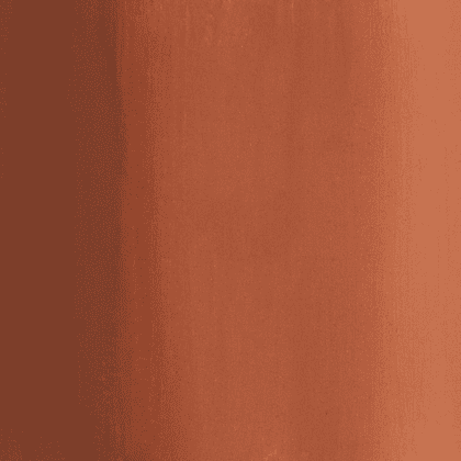 Краски гуашевые "Сонет", 419 коричневая, 40 мл., банка - 3