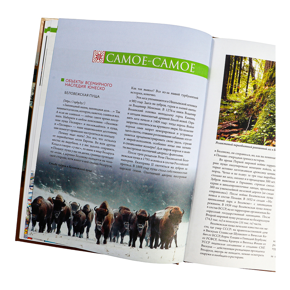 Книга "Республика Беларусь. Путеводитель для друзей", Плескачевская И. - 5