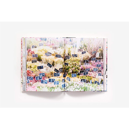 Книга на английском языке "Paris in Bloom", Lane G. - 7