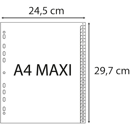 Разделитель "Exacompta", A4, 31 делений, серый - 4
