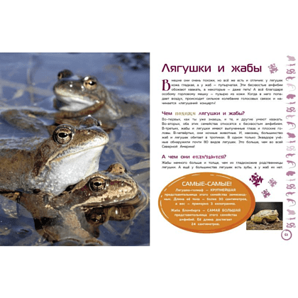 Книга "Животные. Большая детская энциклопедия" - 5