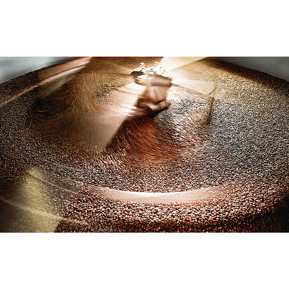 Книга "Философия кофе. От зерна до идеального напитка", Луиджи Оделло, Джованни Руджиери, Фабио Петрони - 7