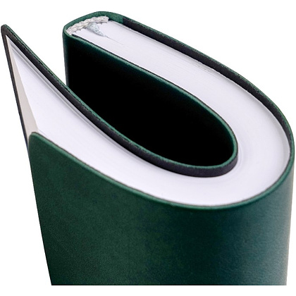 Ежедневник недатированный "Tucson Flex", А5, 272 страницы, зеленый - 5