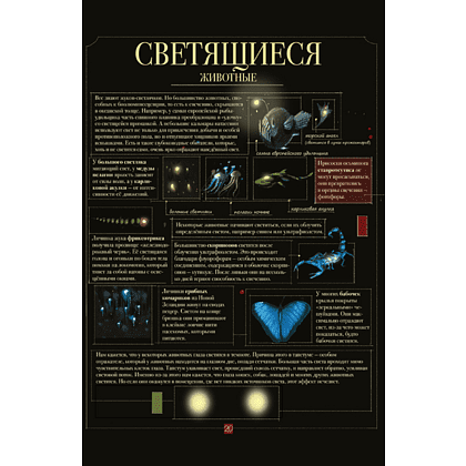 Книга "Диковинные животные", Даниэла Парески - 5
