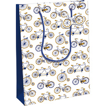 Пакет бумажный подарочный "Kraft. Bike"