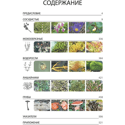 Книга "Красная книга Республики Беларусь. Растения" - 2