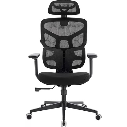 Кресло эргономичное EVERPROF Omega, Black, сетка, черный, металл, корпус черный - 2