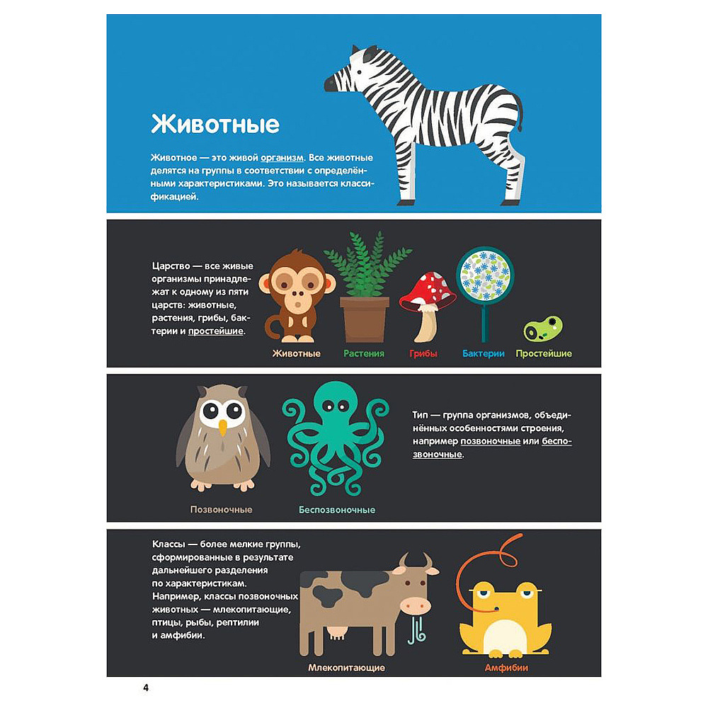 Книга "В мире животных: инфографика", Харриет Брандл, -50% - 4