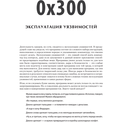 Книга "Хакинг: искусство эксплойта. 2-е изд.", Джон Эриксон - 7