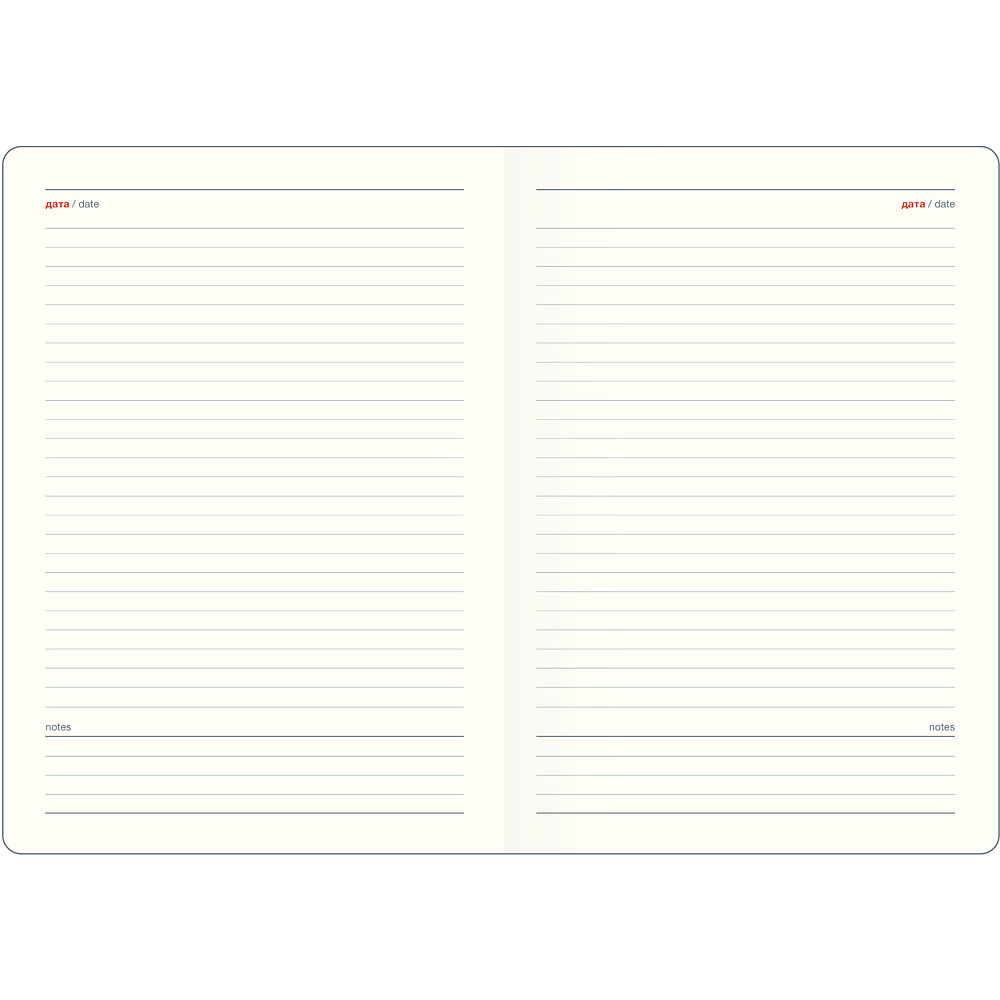 Ежедневник недатированный InFolio "Buffalo" на 2024 год, А5, 320 страниц, серый - 4