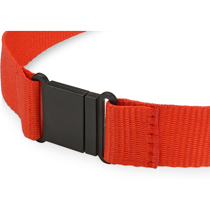 Тесьма с карабином для бейджа "839121", красный - 3