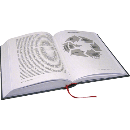 Книга "Вы или хаос. Профессиональное планирование для регулярного менеджмента", Александр Фридман - 5