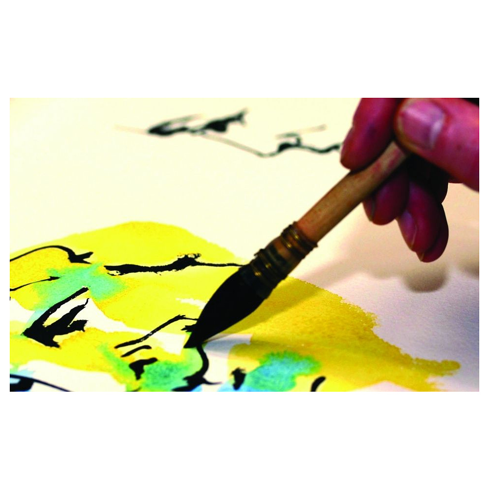 Краски акварельные "Van Gogh", 234 сиена натуральная, 10 мл, туба - 5