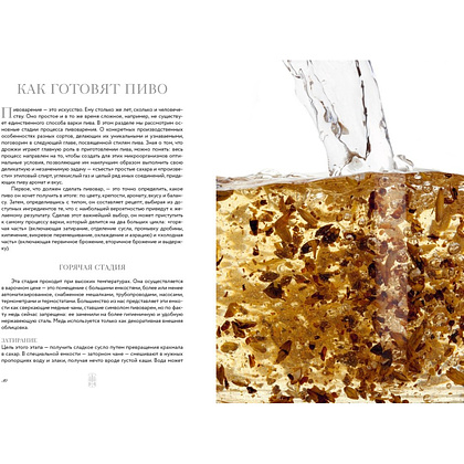 Книга "Маленькая книга гурмана. Пиво", Джованни Руджиери, Пьетро Фонтана - 8