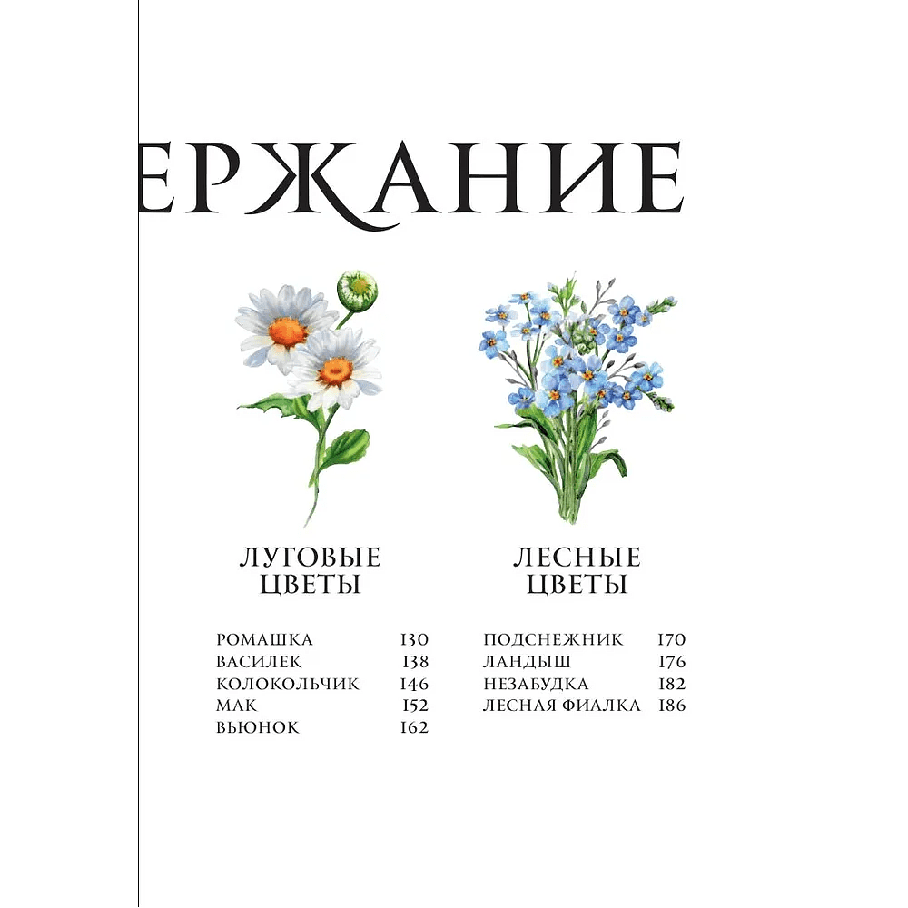 Книга "Цветы в искусстве. Воспевание красоты" - 4