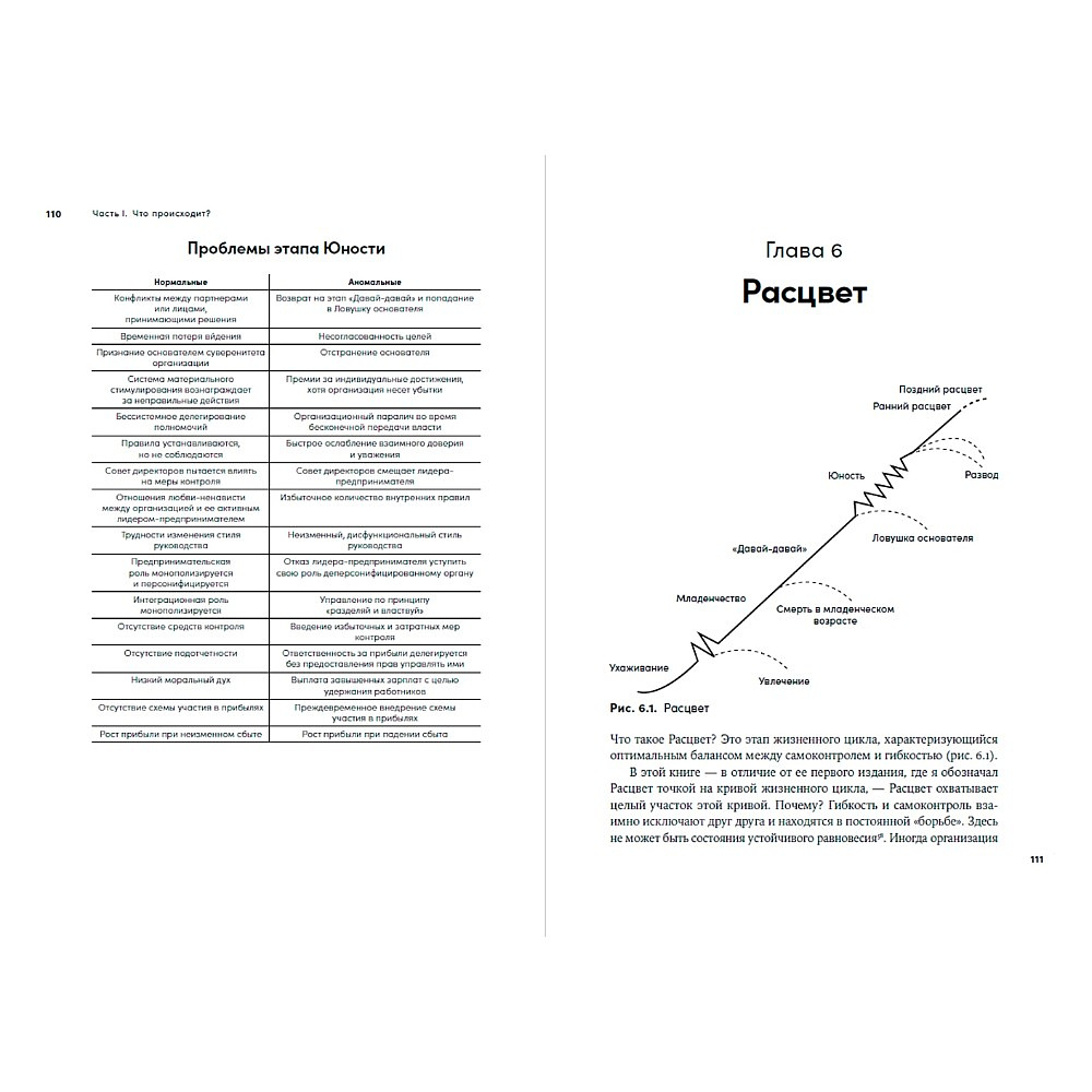 Книга "Управление жизненным циклом компании: Как организации растут, развиваются и умирают и что с этим делать", Ицхак Адизес - 2