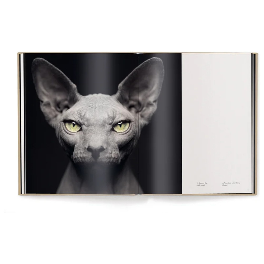 Книга на английском языке "Between Us. Animal Portraits" HB, Vincent Lagrange - 4