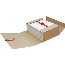 Папка для бумаг с завязками, 100 мм, 4 завязки, крафт