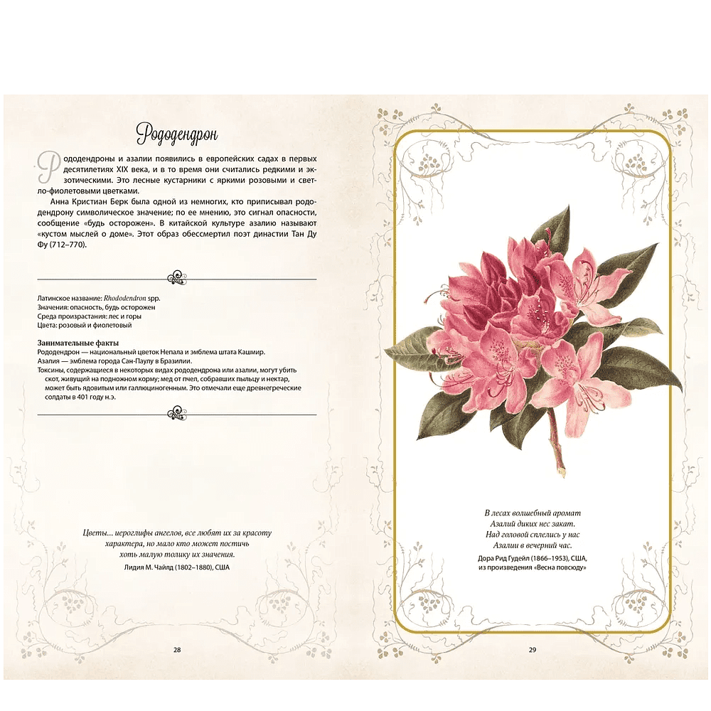 Книга "Тайный язык цветов", Джилл Дэвис, Джилл Сондерс - 5