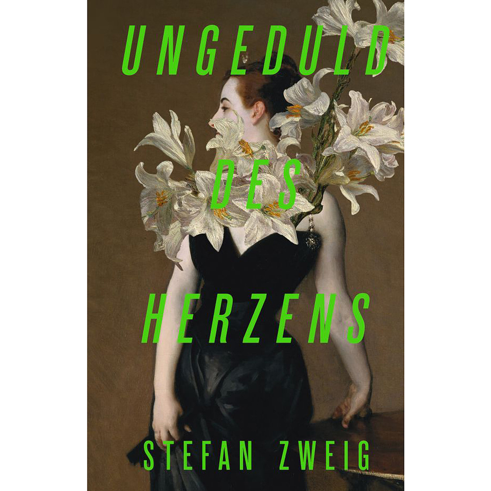 Книга на немецком языке "Ungeduld des Herzens", Стефан Цвейг, -30%