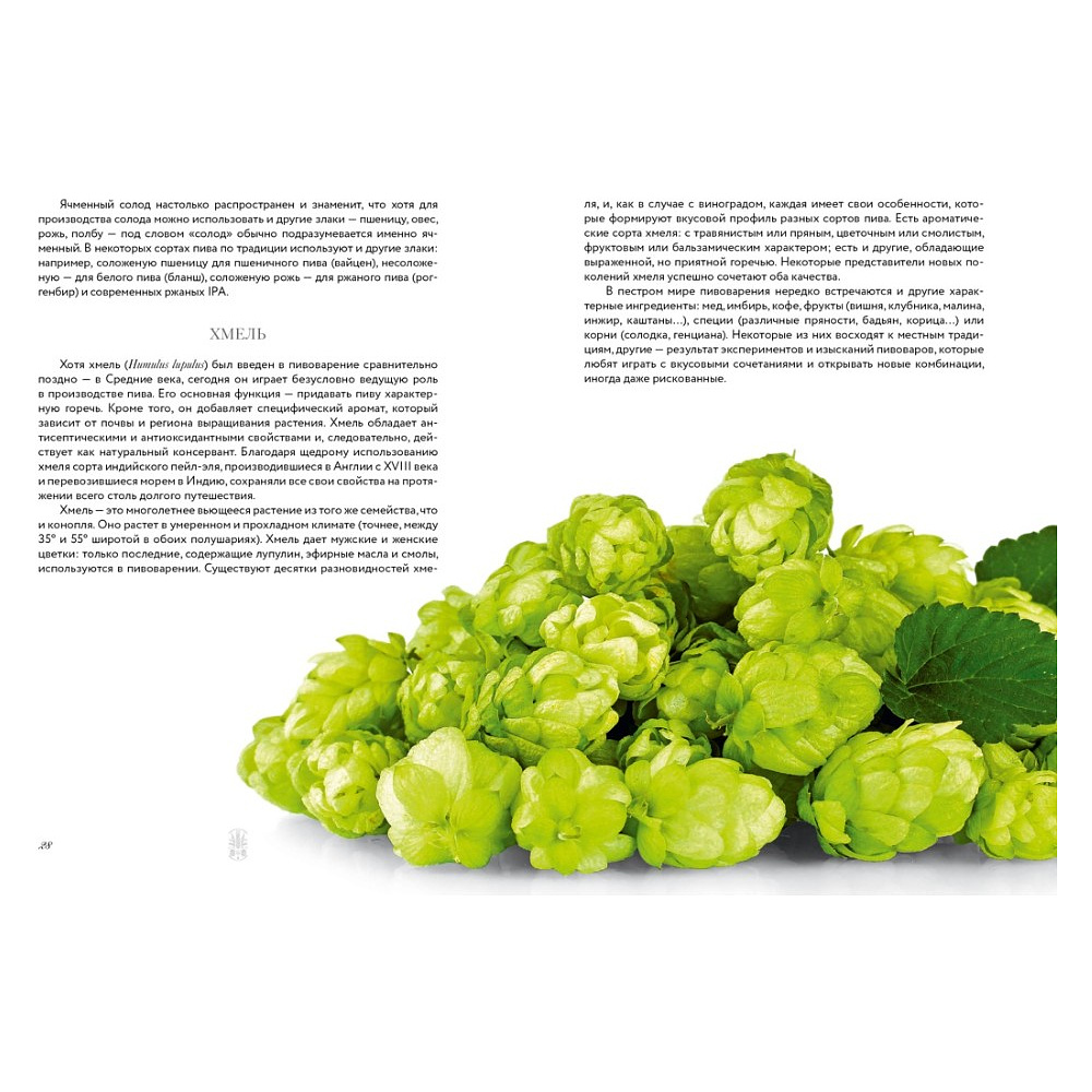 Книга "Маленькая книга гурмана. Пиво", Джованни Руджиери, Пьетро Фонтана - 7