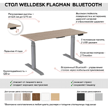 Комплект WellDesk Flagman Bluetooth, (регулируемый по высоте каркас арт. 9050840 и столешница арт. 9045845)