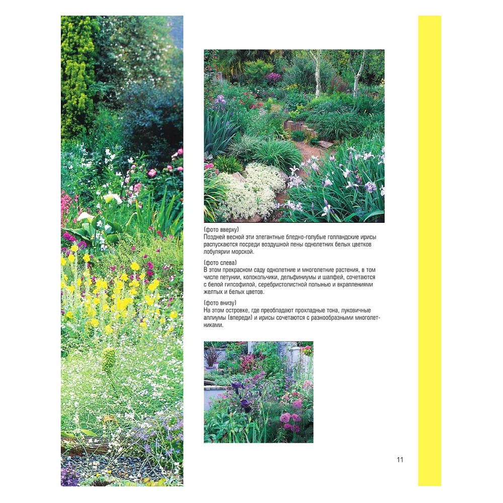 Книга "Библия садовых цветов. Однолетники, многолетники и луковичные. Советы по посадке, выращиванию и уходу" - 8