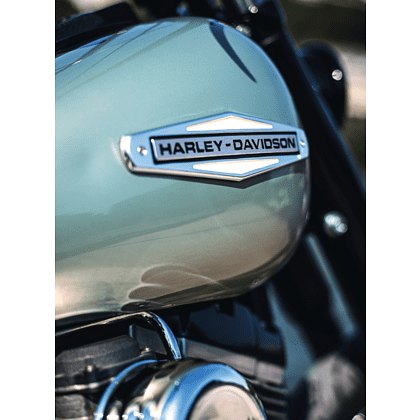 Книга "Harley-Davidson. Легенда жива", Михаэль Левивье - 3