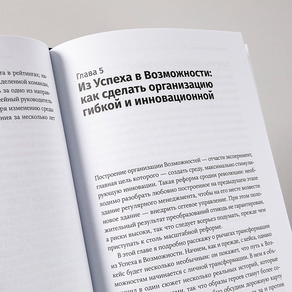 Книга "Восхождение по спирали: Теория и практика реформирования организаций", Марк Розин - 9