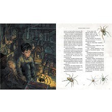 Книга "Гарри Поттер и Философский камень" с цветными иллюстрациями, Роулинг Дж.К