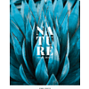 Тетрадь "Nature", А4, 48 листов, клетка, ассорти - 2