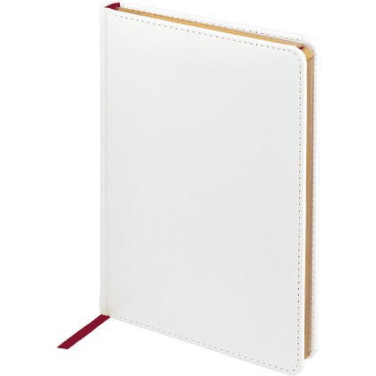 Ежедневник недатированный "Sidney Nebraska", А5, 272 страницы, белый - 2