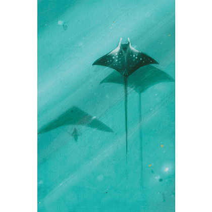 Книга "Диковинные животные", Даниэла Парески - 3