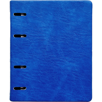 Тетрадь InFolio Study "Turtle", А5, 120 листов, клетка, синий