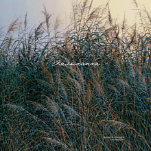 Сумка для покупок "Волнение", Валерий Шкарубо, разноцветный