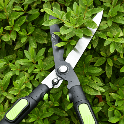 Ножницы садовые Deli GS EDL580324, 650 мм-800 мм, телескопическая рукоятка - 3