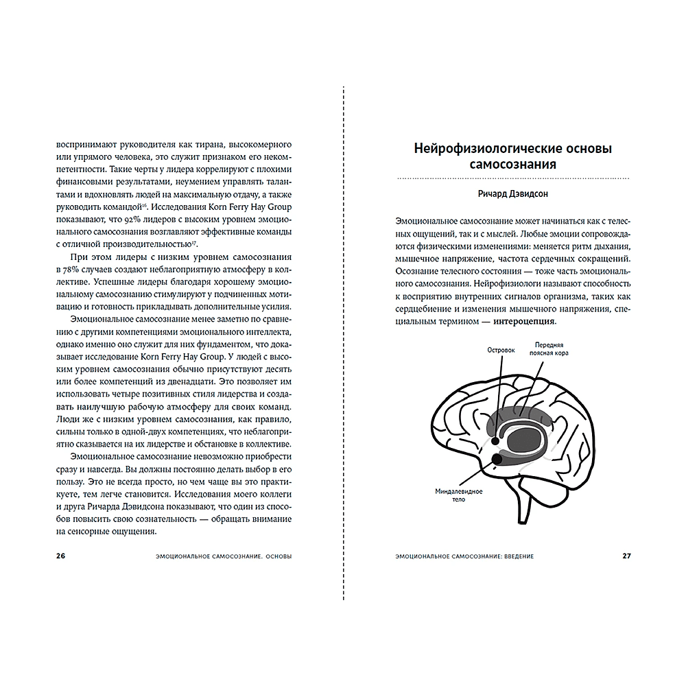 Книга "12 элементов эмоционального интеллекта: Как стать вдохновляющим лидером", Дэниэл Гоулман - 2