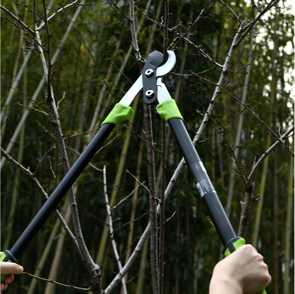 Сучкорез садовый "Deli", 775 мм - 6