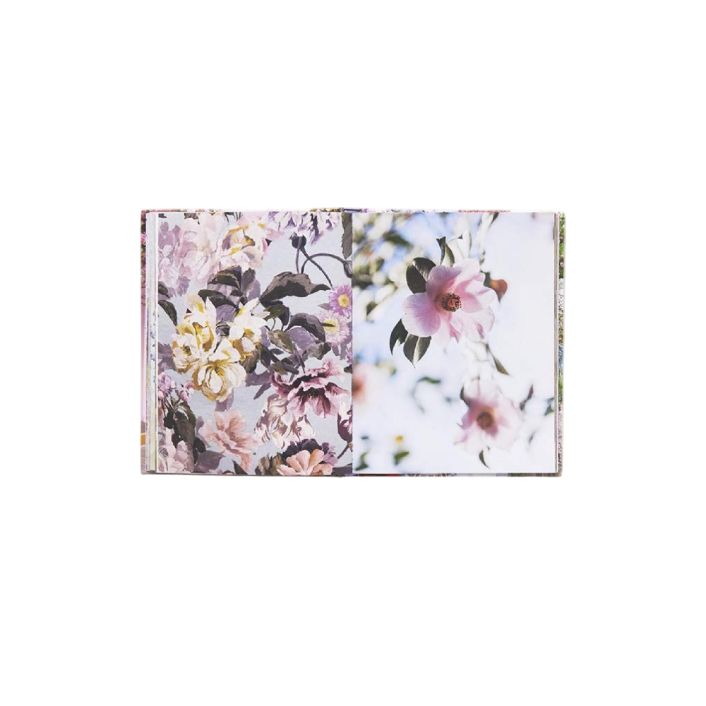 Книга на английском языке "London in Bloom", Lane G.  - 9