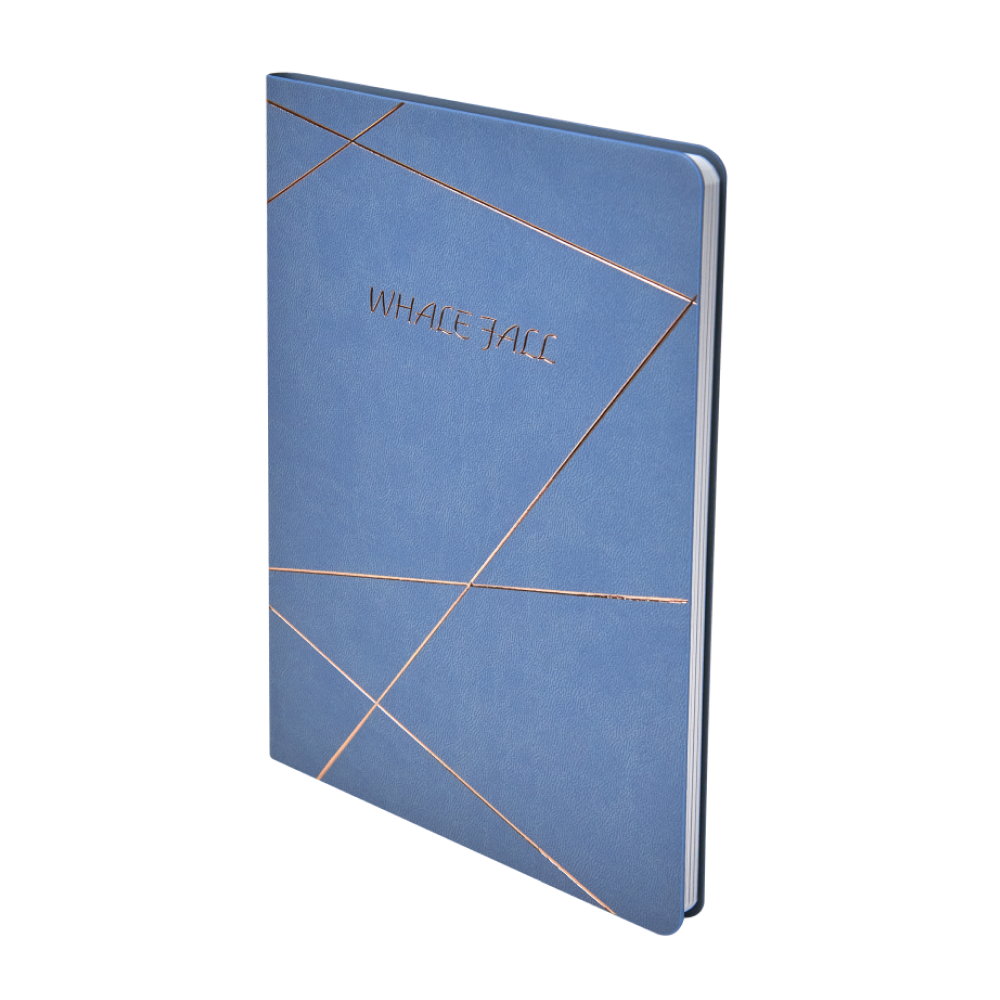 Блокнот "20D076", А5, 96 листов, голубой