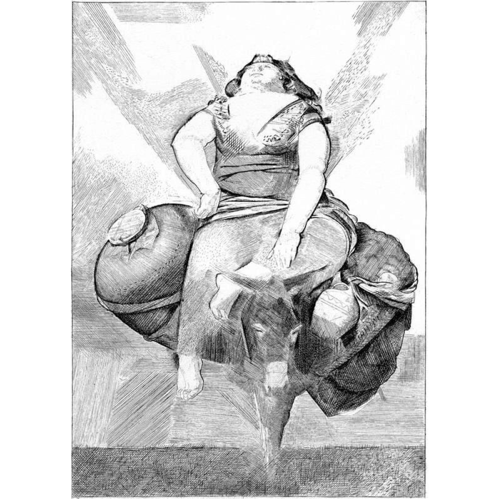 Книга "Хитроумный идальго Дон Кихот Ламанчский", Мигель де Сервантес Сааведра  - 5